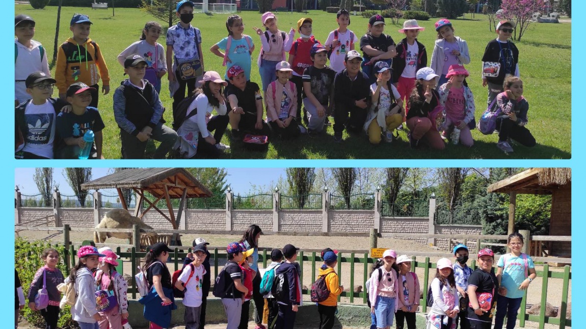 Okulumuz 3/D Sınıfı Öğrencileri, Öğretmenleri Gülşah Asya Rehberliğinde Sazova Hayvanat Bahçesi, ve Su Altı Dünyasını gezdiler...