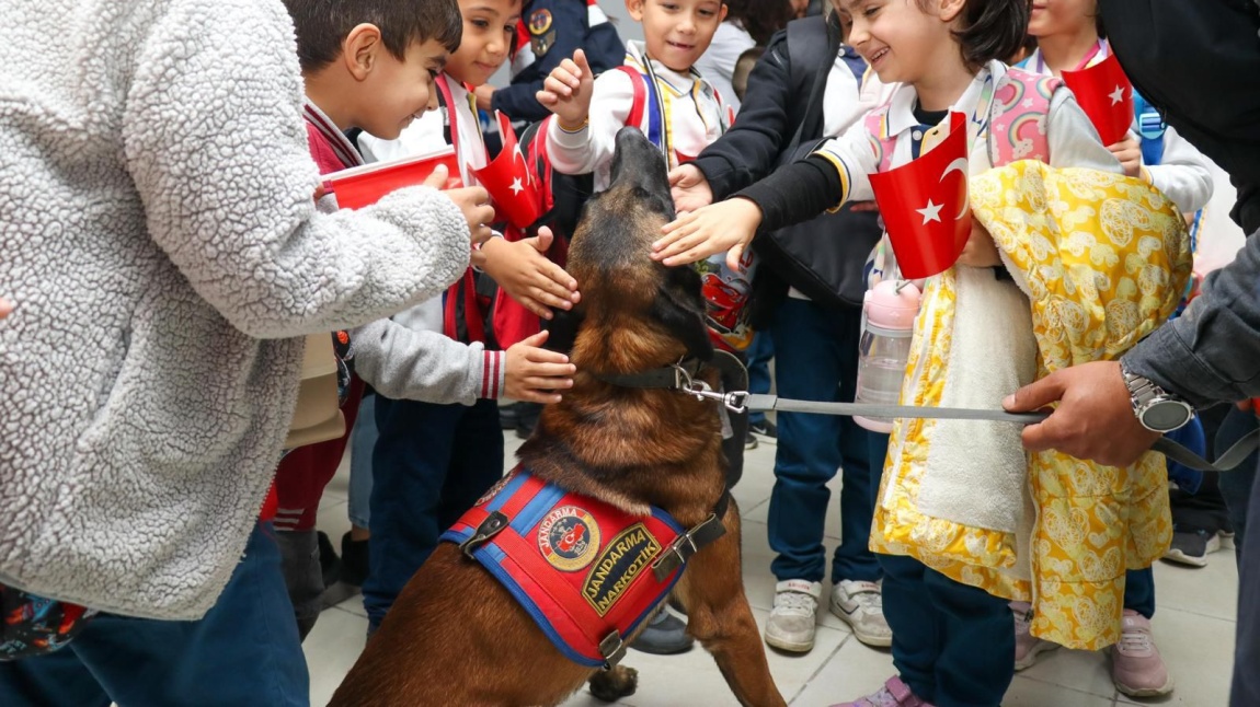 HAYVANLARI KORUMA GÜNÜ